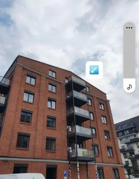 Апартаменты Apartament W Starym Mlynie Loft Rozanka Вроцлав