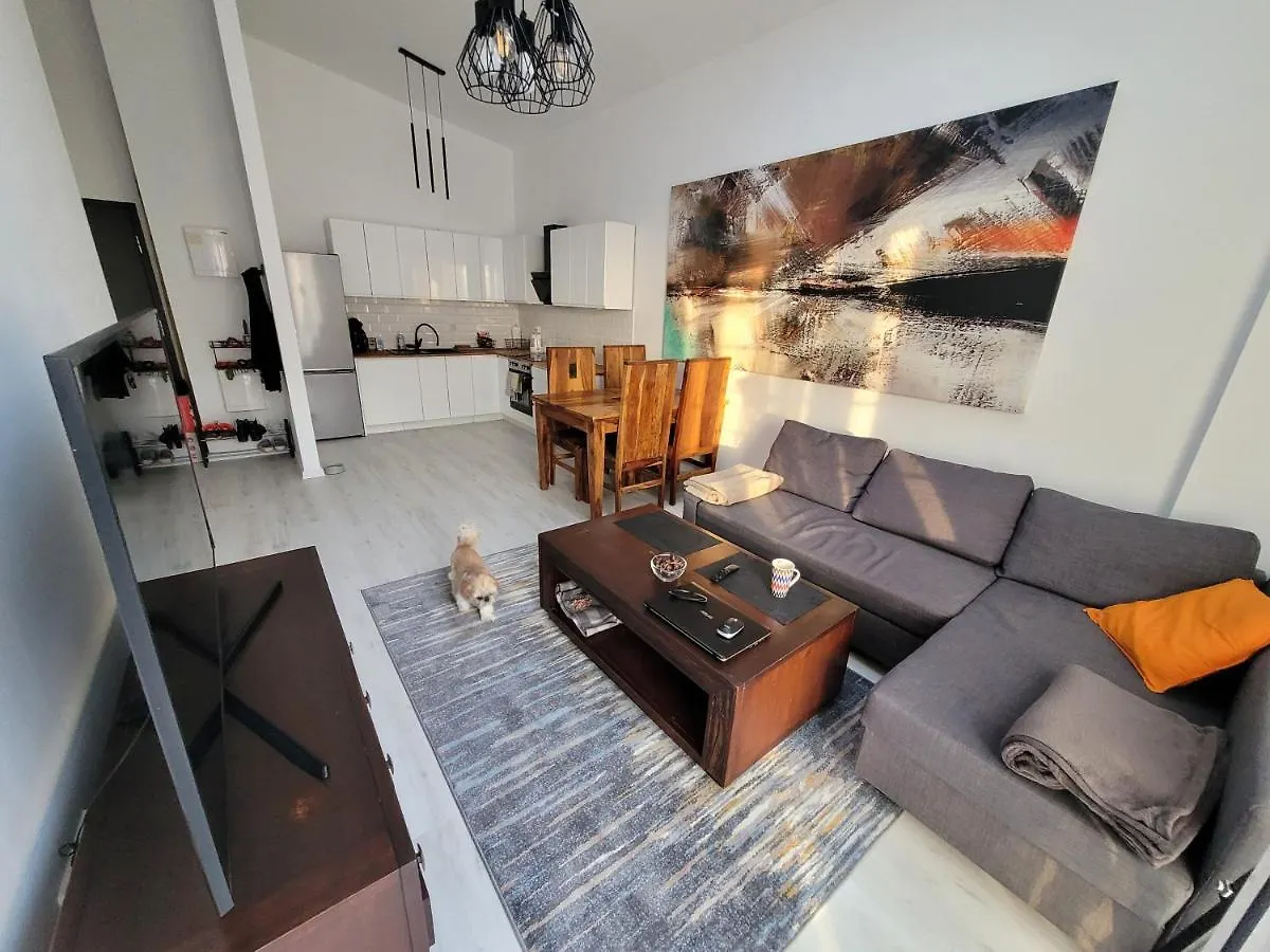 Apartament W Starym Mlynie Loft Rozanka Вроцлав 0*,  Польша