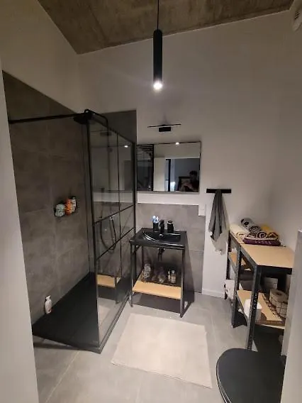 Apartament W Starym Mlynie Loft Rozanka Wrocław 0*,
