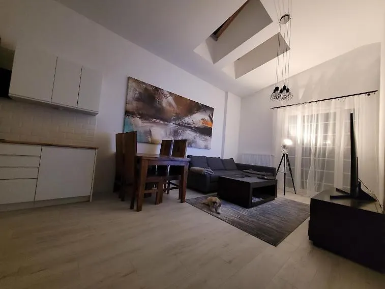 Апартаменты Apartament W Starym Mlynie Loft Rozanka Вроцлав